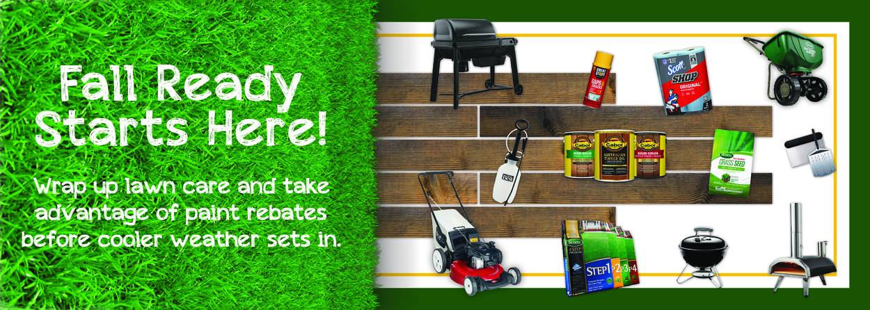 fall lawn clean up